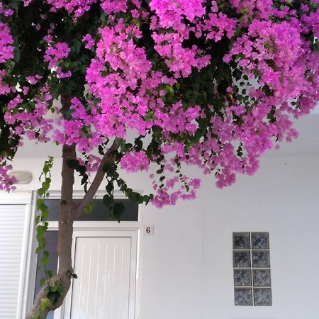 Maria Studios And Apartments ฮารากิ ภายนอก รูปภาพ